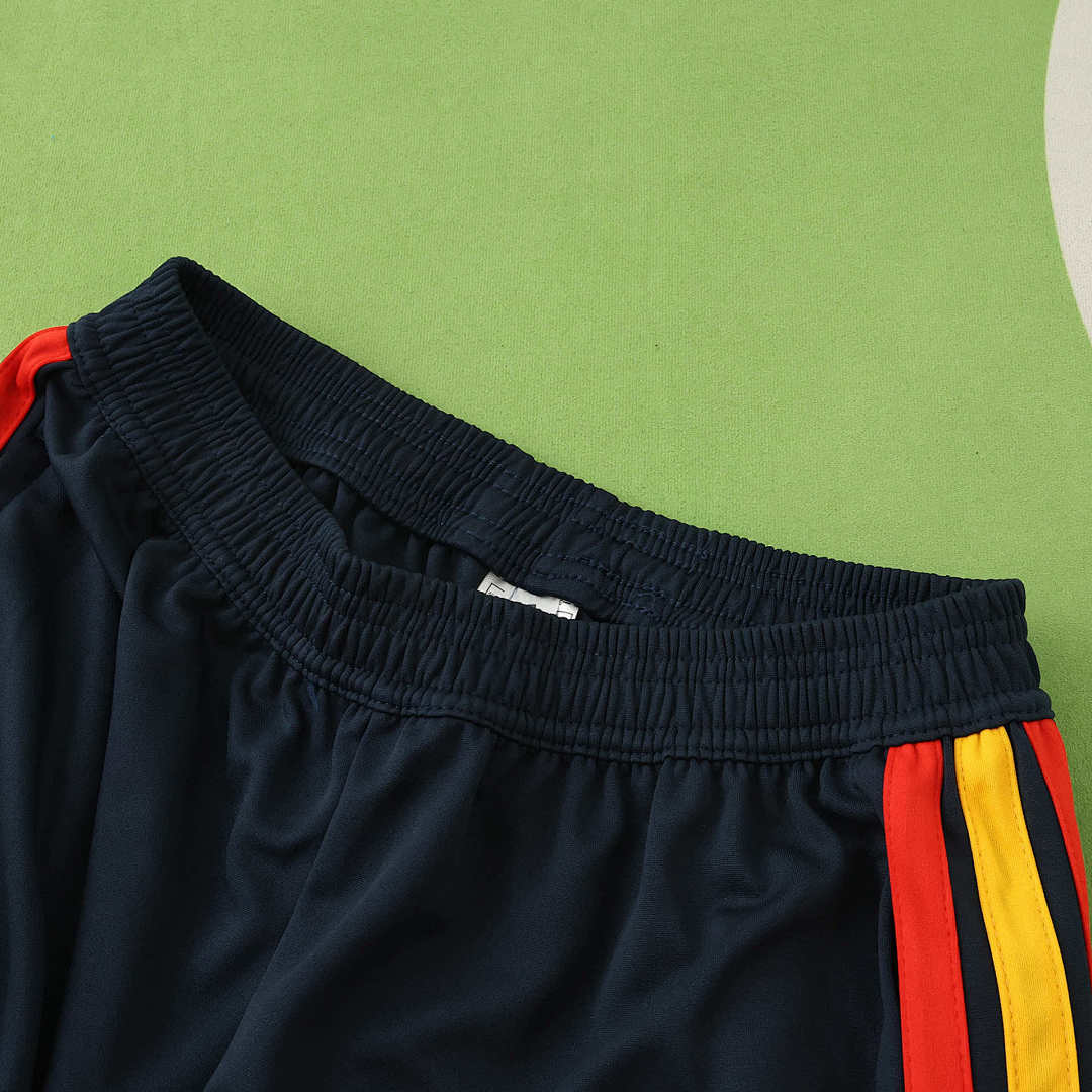 2026 FIFA World Cup Spain royal blue Half pull training suit