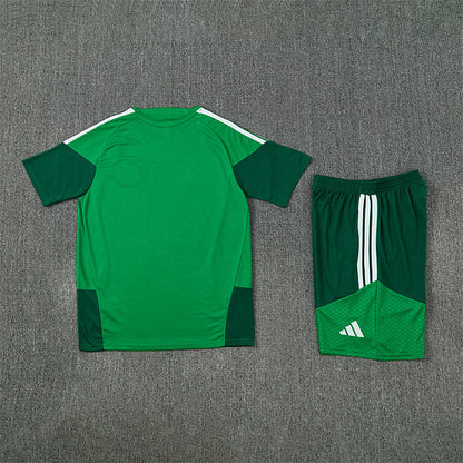 2026 FIFA World Cup Algeria Training clothes suit Short sleeve Fan version