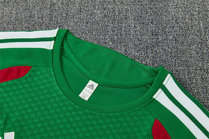 2026 FIFA World Cup Algeria Training clothes suit Short sleeve Fan version
