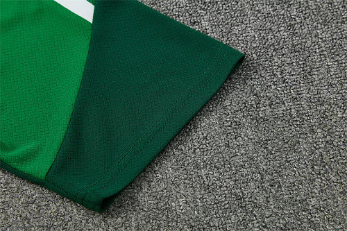 2026 FIFA World Cup Algeria Training clothes suit Short sleeve Fan version