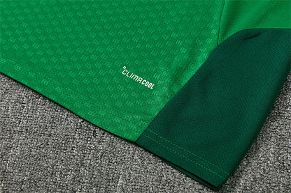 2026 FIFA World Cup Algeria Training clothes suit Short sleeve Fan version