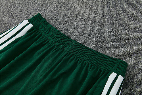 2026 FIFA World Cup Algeria Training clothes suit Short sleeve Fan version