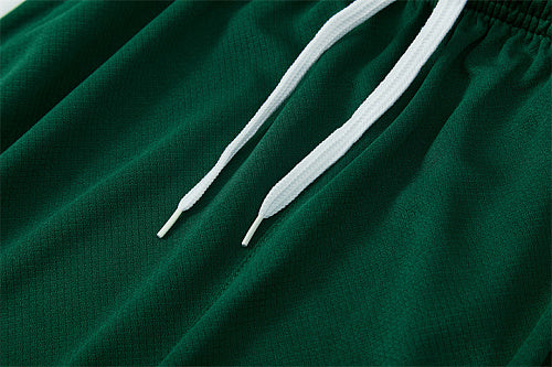 2026 FIFA World Cup Algeria Training clothes suit Short sleeve Fan version