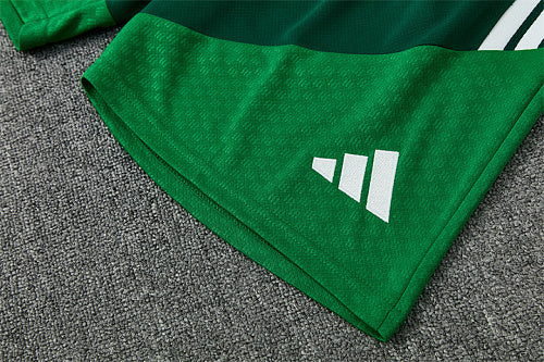 2026 FIFA World Cup Algeria Training clothes suit Short sleeve Fan version
