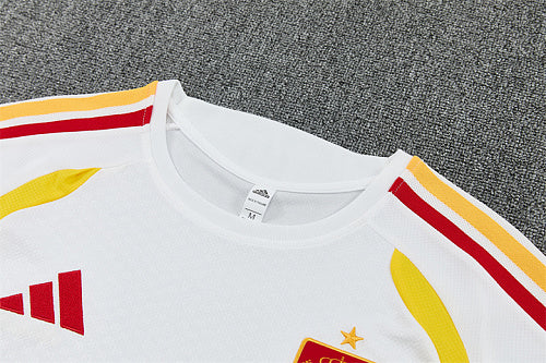 2026 FIFA World Cup Spain Training clothes suit Short sleeve Fan version