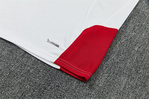 2026 FIFA World Cup Spain Training clothes suit Short sleeve Fan version
