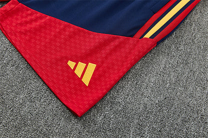 2026 FIFA World Cup Spain Training clothes suit Short sleeve Fan version