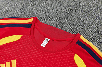 2026 FIFA World Cup Spain Training clothes suit Short sleeve Fan version