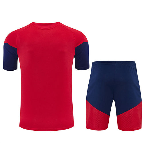 2026 FIFA World Cup Spain Training clothes suit Short sleeve Fan version