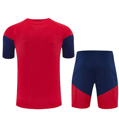 2026 FIFA World Cup Spain Training clothes suit Short sleeve Fan version