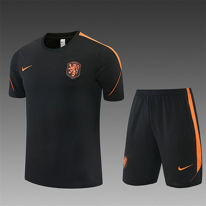 2026 FIFA World Cup Netherlands Training clothes suit Short sleeve Fan version