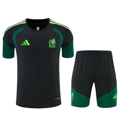 2026 FIFA World Cup Mexico Training clothes suit Short sleeve Fan version