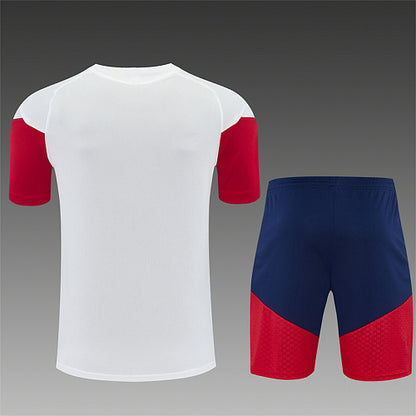 2026 FIFA World Cup Spain Training clothes suit Short sleeve Fan version