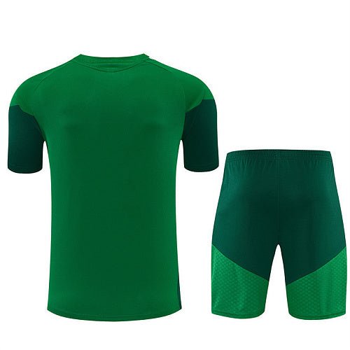 2026 FIFA World Cup Algeria Training clothes suit Short sleeve Fan version