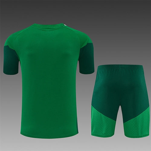 2026 FIFA World Cup Algeria Training clothes suit Short sleeve Fan version