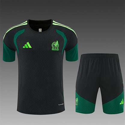 2026 FIFA World Cup Mexico Training clothes suit Short sleeve Fan version