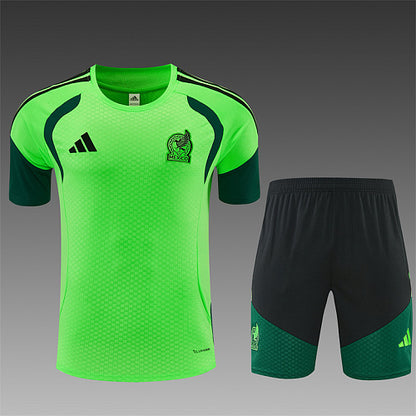 2026 FIFA World Cup Mexico Training clothes suit Short sleeve Fan version