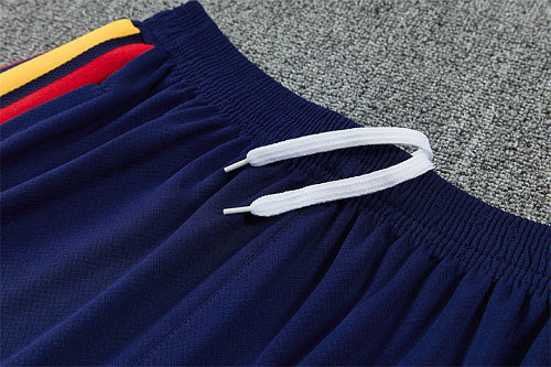 2026 FIFA World Cup Spain Training clothes suit Short sleeve Fan version