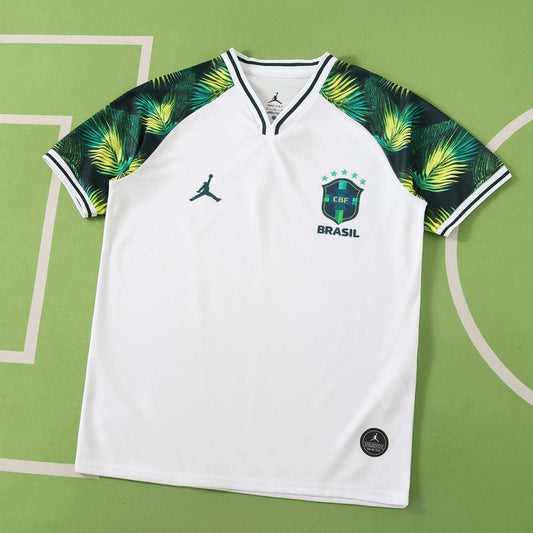 2026 FIFA World Cup Brazil Concept version