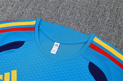 2026 FIFA World Cup Spain Training clothes suit Short sleeve Fan version
