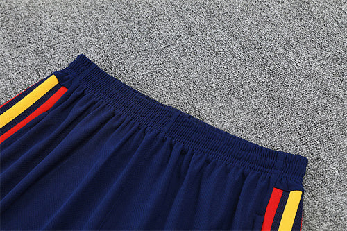 2026 FIFA World Cup Spain Training clothes suit Short sleeve Fan version