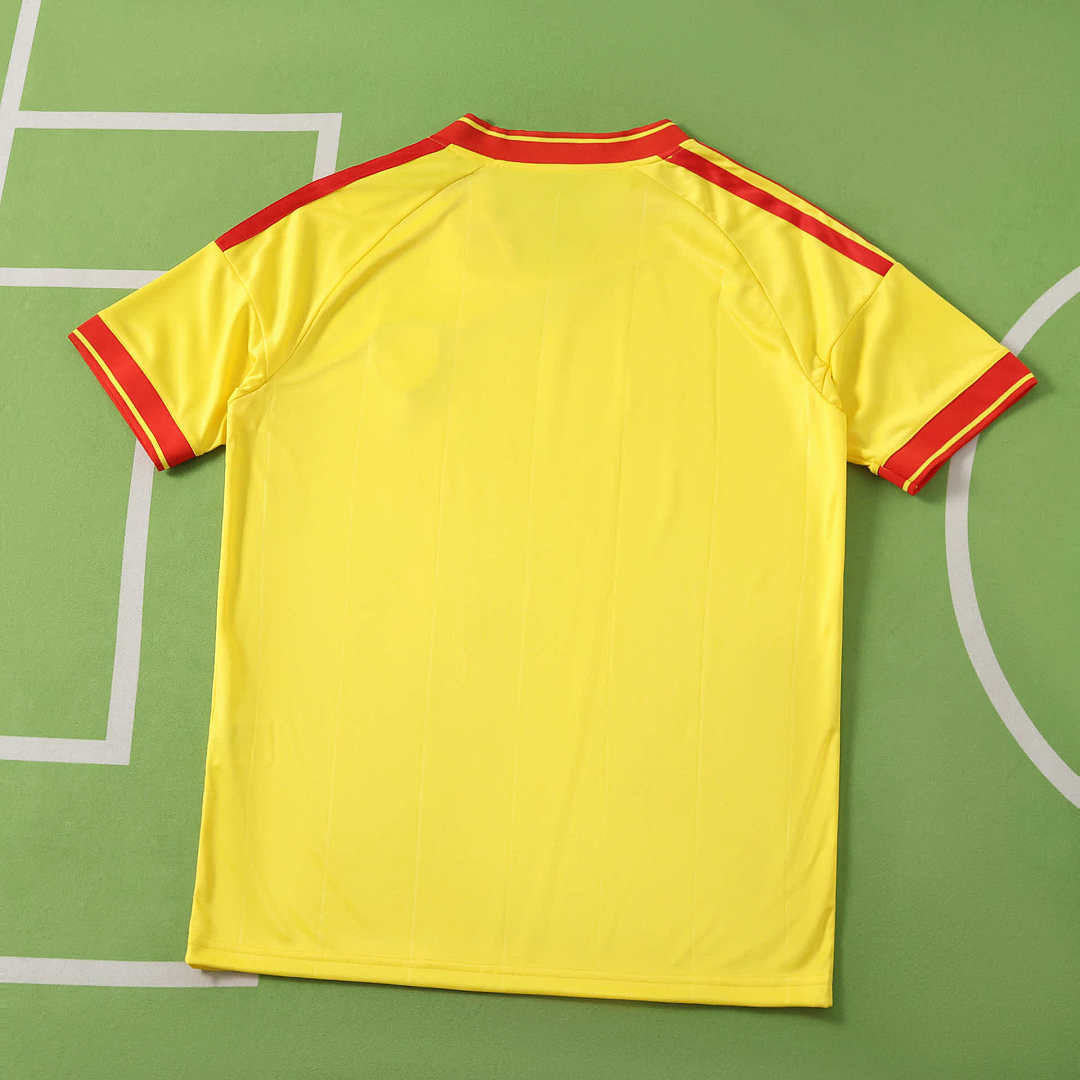 2627 season RC Lens home Fan version
