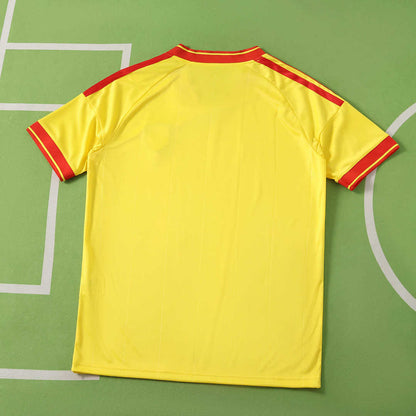 2627 season RC Lens home Fan version