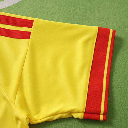 2627 season RC Lens home Fan version