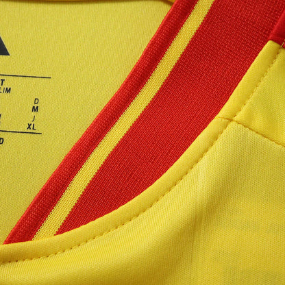 2627 season RC Lens home Fan version