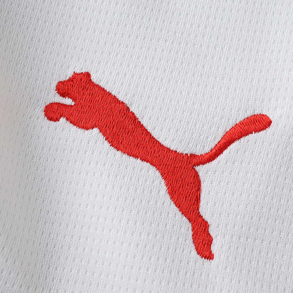 2026 FIFA World Cup Portugal training suit Fan version