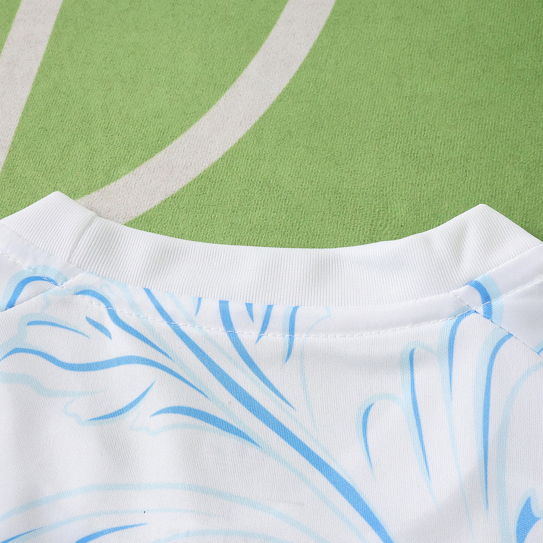2026 FIFA World Cup Argentina Training shirt Fan version