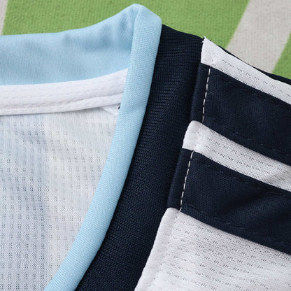 2026 FIFA World Cup Argentina home Long sleeved Fan version