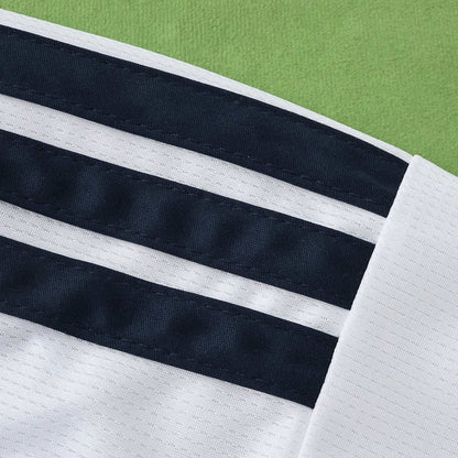 2026 FIFA World Cup Argentina home Long sleeved Fan version