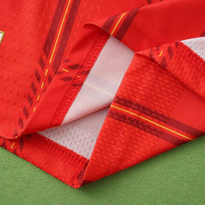 2026 FIFA World Cup Spain home Player version