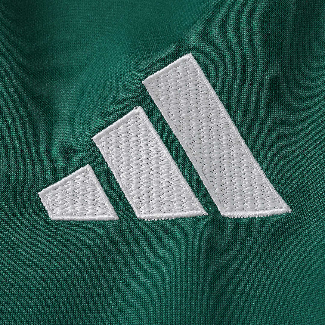 2026 FIFA World Cup Algeria  training suit jacket suit