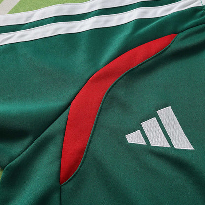 2026 FIFA World Cup Algeria  training suit jacket suit