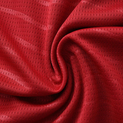 2026 FIFA World Cup Portugal home Long sleeve Fan version