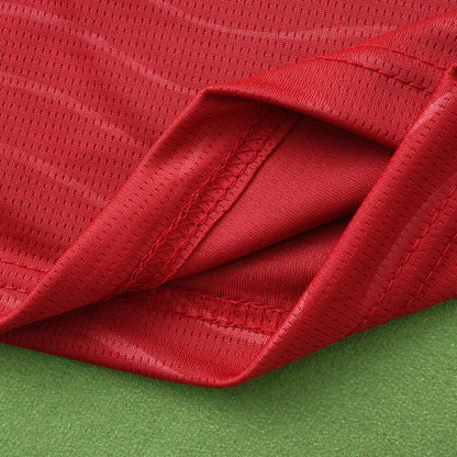 2026 FIFA World Cup Portugal home Long sleeve Fan version