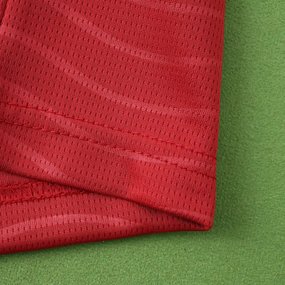 2026 FIFA World Cup Portugal home Long sleeve Fan version