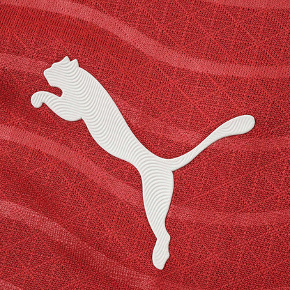 2026 FIFA World Cup Portugal home Long sleeve Player version