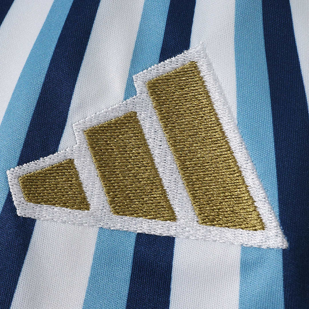 2026 FIFA World Cup Argentina Training shirt Fan version