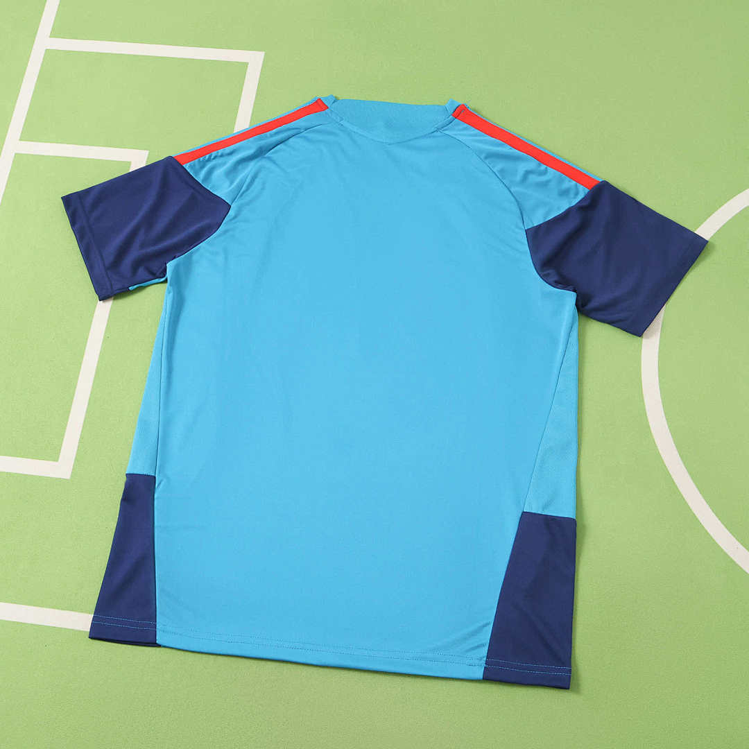 2026 FIFA World Cup Spain Training shirt Fan version