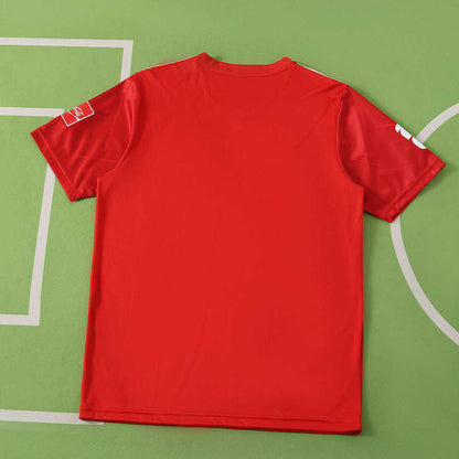 2026 FIFA World Cup Mexico Coca-Cola Fan version