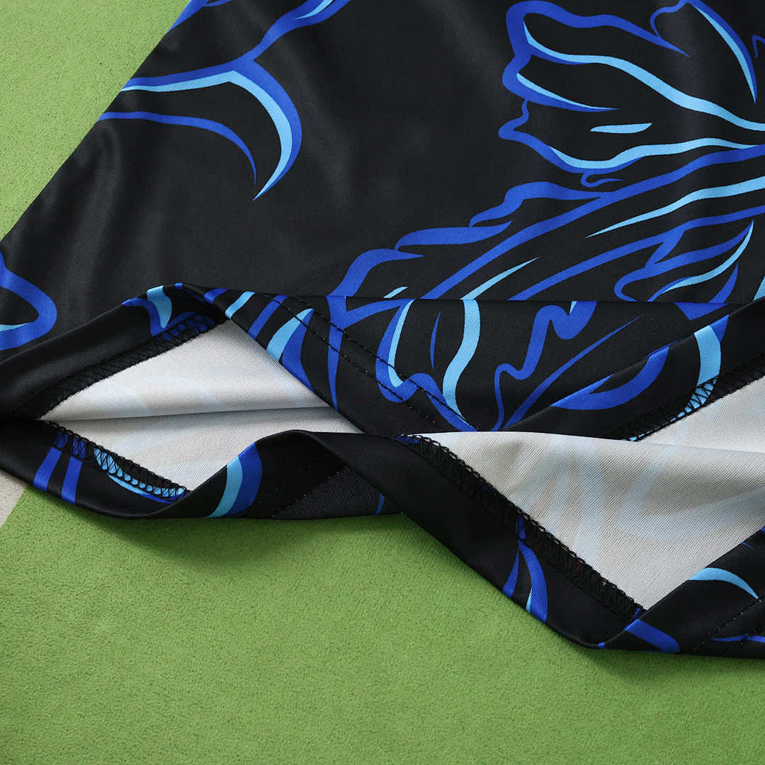 2026 FIFA World Cup Argentina away Long sleeve Fan version