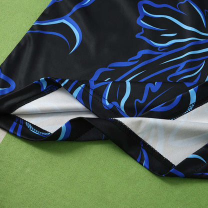2026 FIFA World Cup Argentina away Long sleeve Fan version