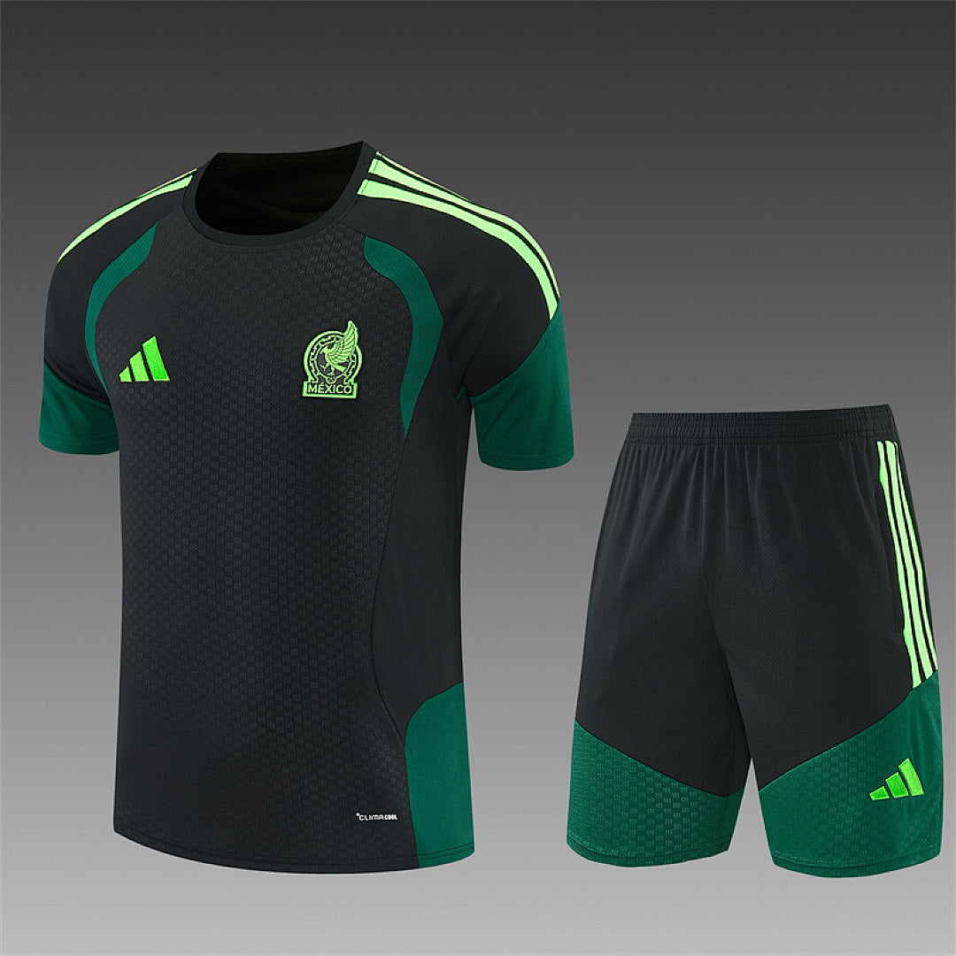2026 FIFA World Cup Mexico Training clothes suit Short sleeve Fan version