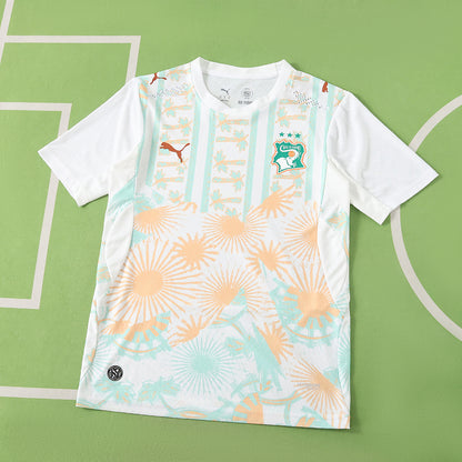 2026 FIFA World Cup Ivory Coast away Player version
