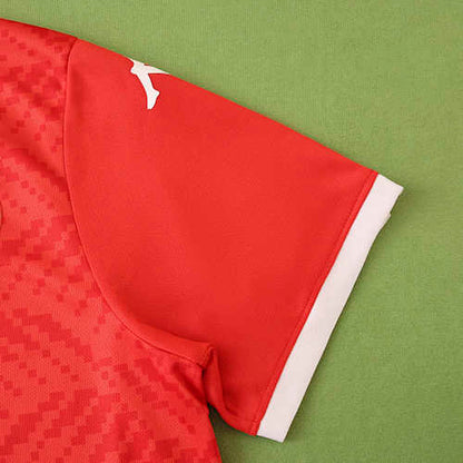 2026 season Tunisia home Fan version