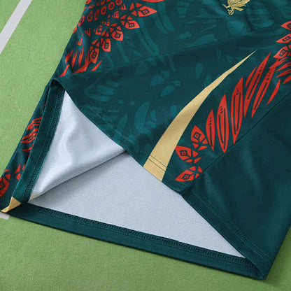 2526 season Mexico Concept version Fan version