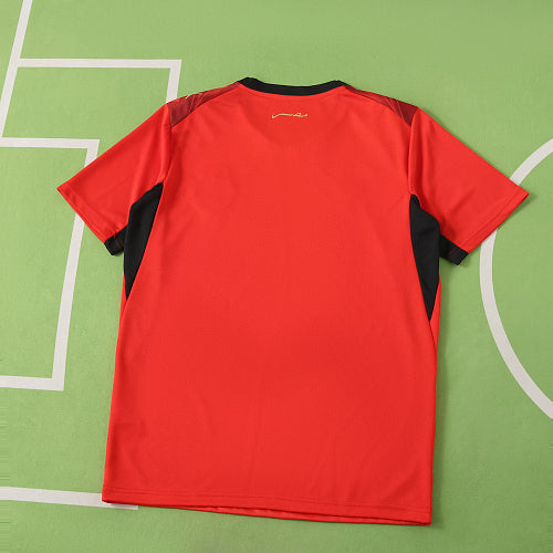 2026 FIFA World Cup Egypt home Fan version